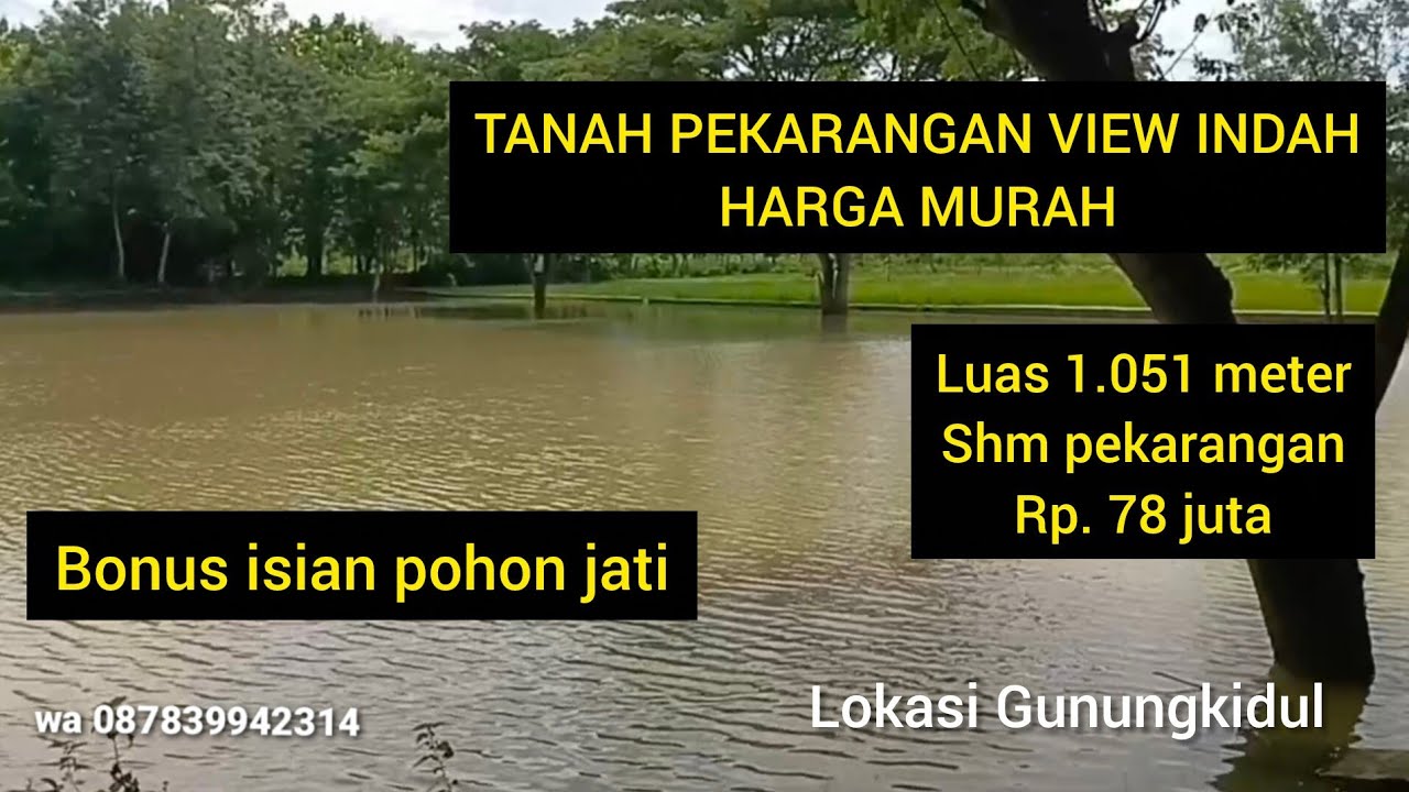 ❌terjual....TANAH PEKARANGAN MURAH VIEW INDAH HARGA MURAH👍👍👍