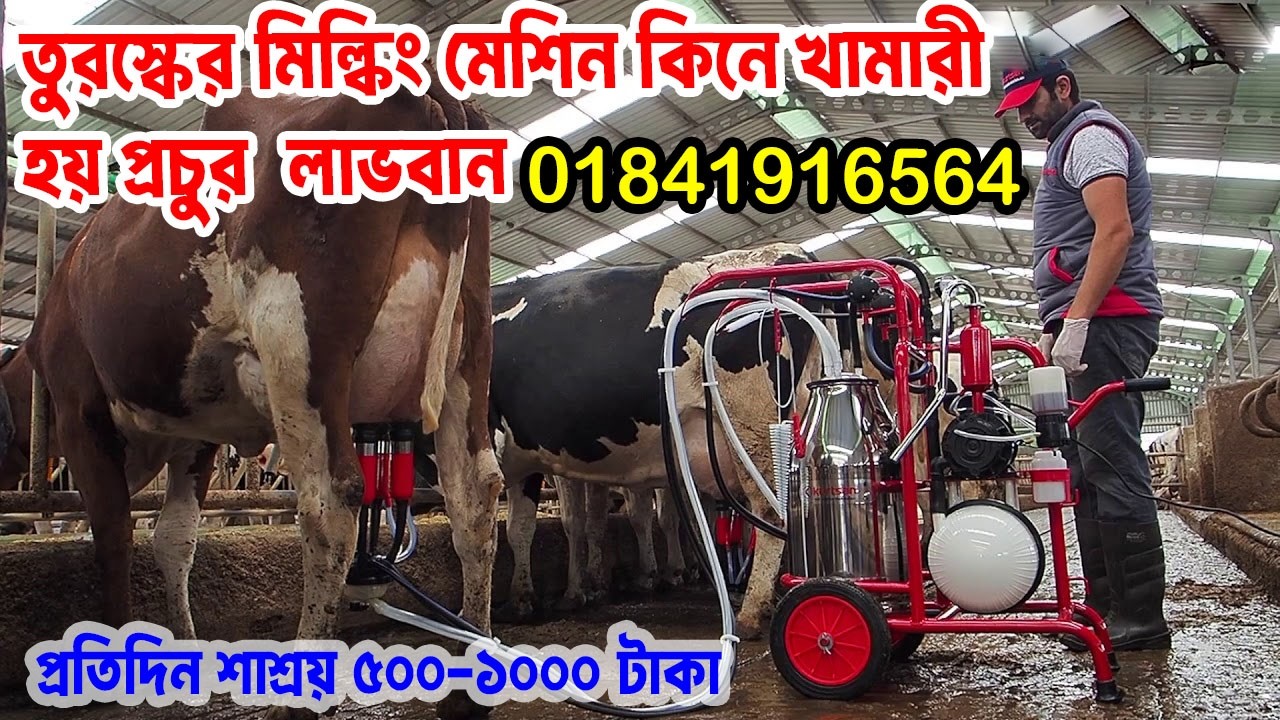 Milking machine price in bd | Melasty Milking Machine Price In Bangladesh