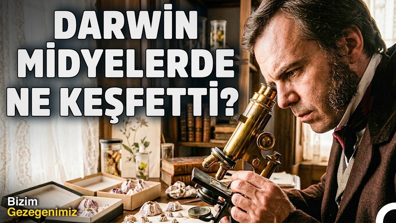Darwin&rsquo;in Gizli Araştırması: Kaya Midyeleri ve Evrim Teorisi | T&uuml;rk&ccedil;e Dublaj Belgesel