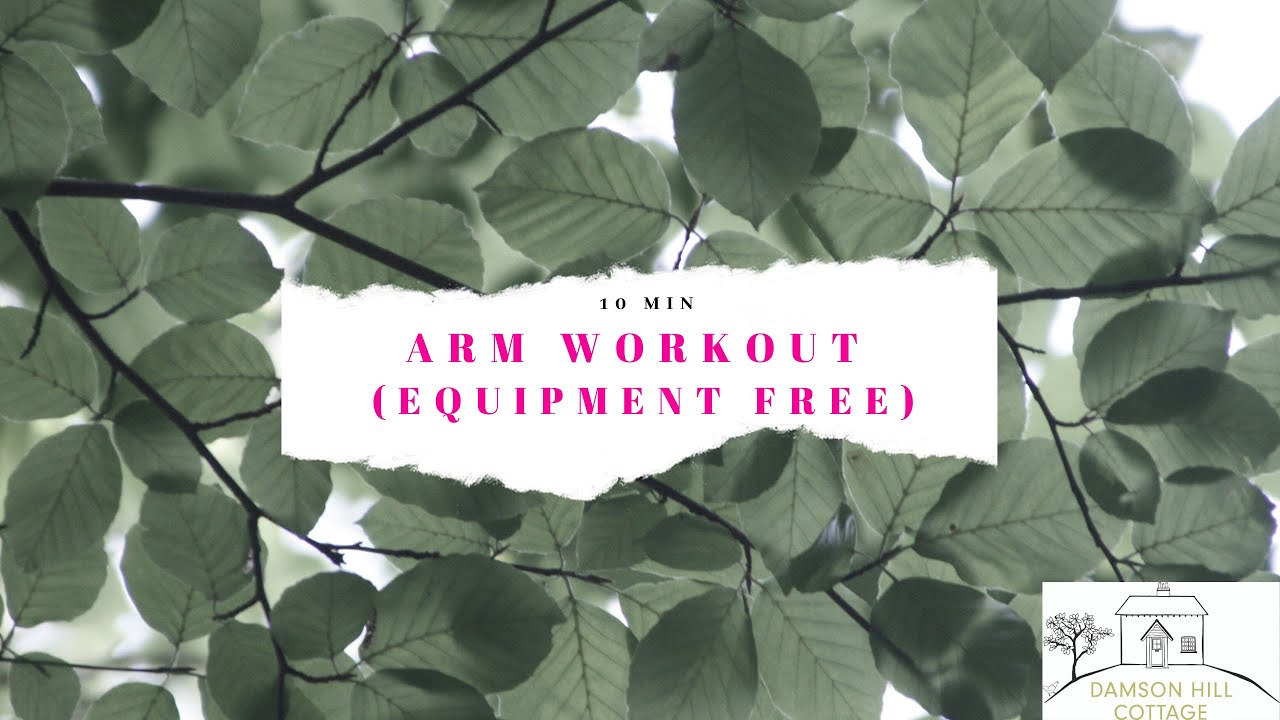 10 minute Arm Workout (bodyweight only, no weights, quite a bit of core too!)