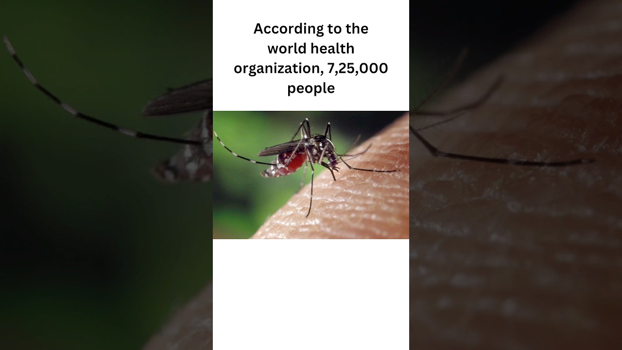 according to the world health organization 725000 people