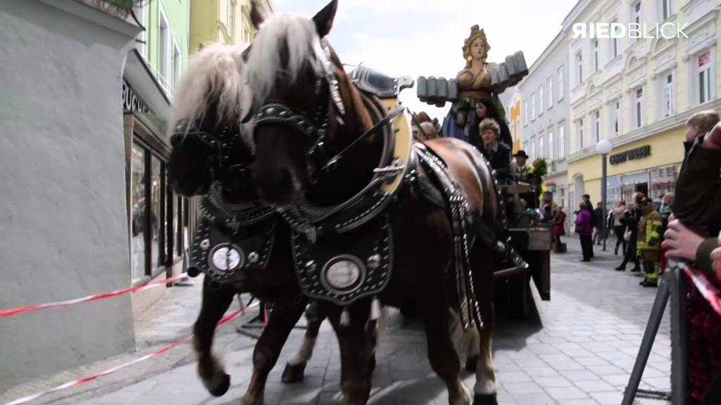 Pferdemarkt  Ried im Innkreis 2016