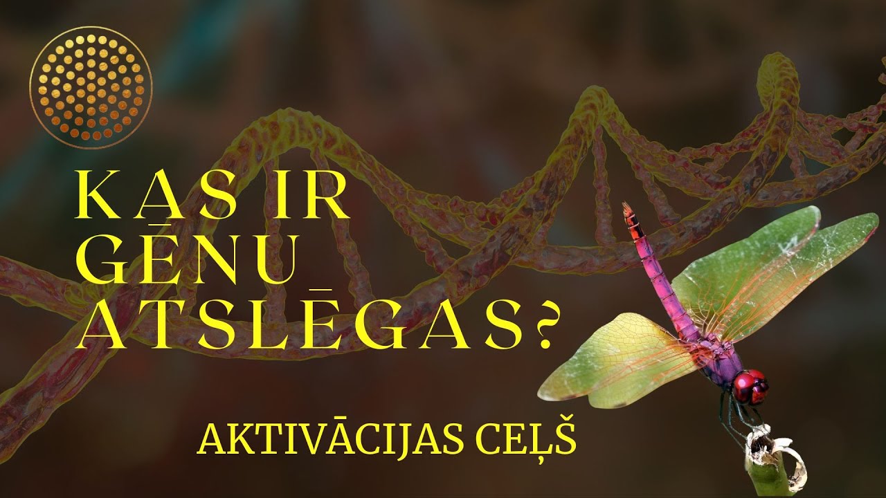Kas ir Gēnu Atslēgas? Aktivācijas ceļ&scaron;. Kā pielietot Gēnu Atslēgas ikdienā?