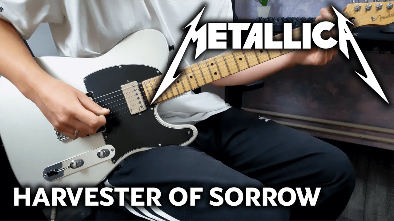 Metallica - Harvester of Sorrow - Guitar Cover