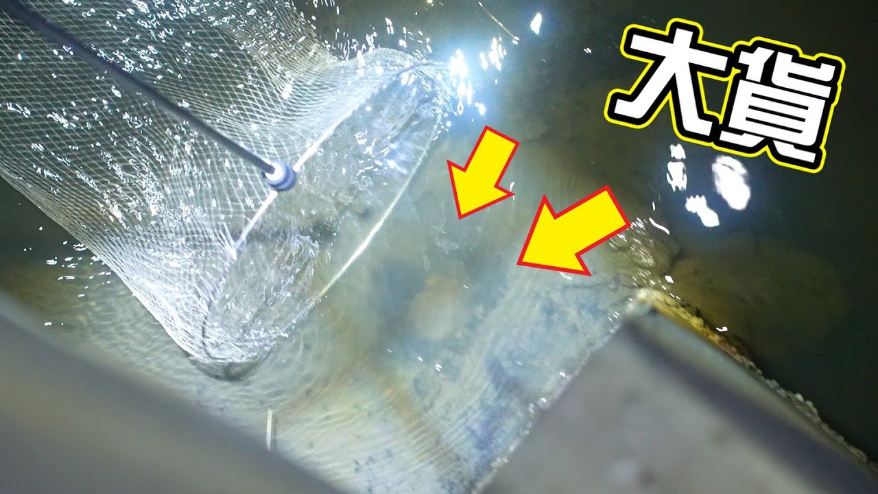 驚奇的小水溝竟抓到大貨！還遇到從沒抓到過的螃蟹！頭上竟頂著一張鬼臉！？