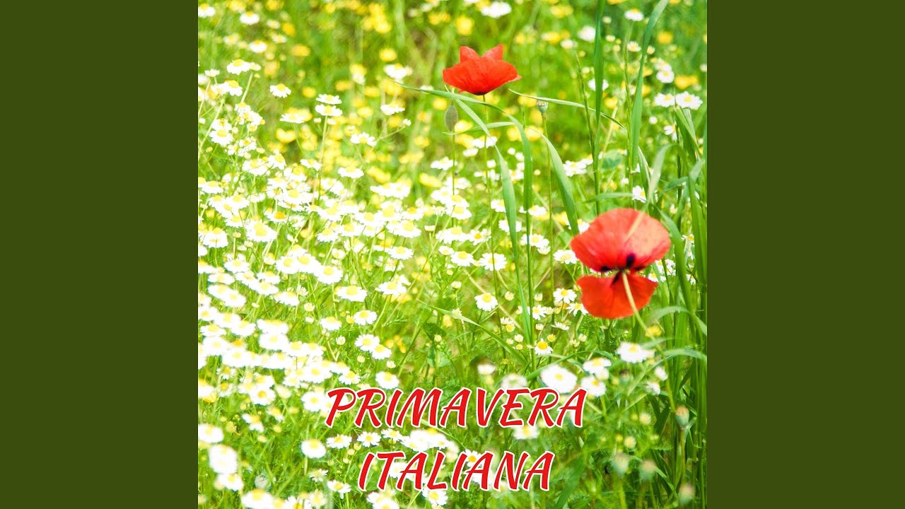 Mi sono innamorato di te (feat. Mauro Ottolini & Orchestra Sinfonica Dei Colli Morenici)