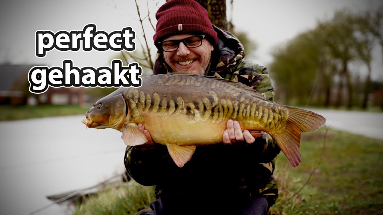 KARPERVISSEN | RONNIE RIG - DE BESTE VERSIE TOT NU TOE !!!