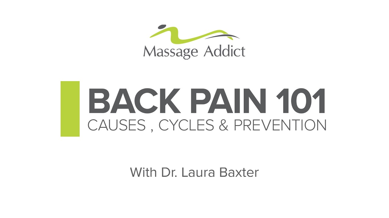 Back Pain 101: Causes, Cycles & Prevention