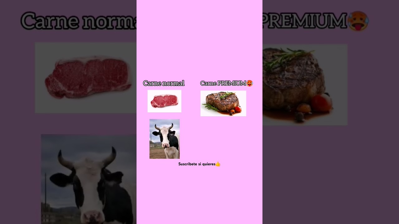 Sub=CARNE PREMIUM #memes #humor