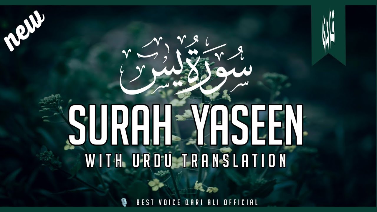 Most beautiful recitation of Surah Yaseen  سورۃ یس  (Yasin) Best recitation of Surah Yasin today 