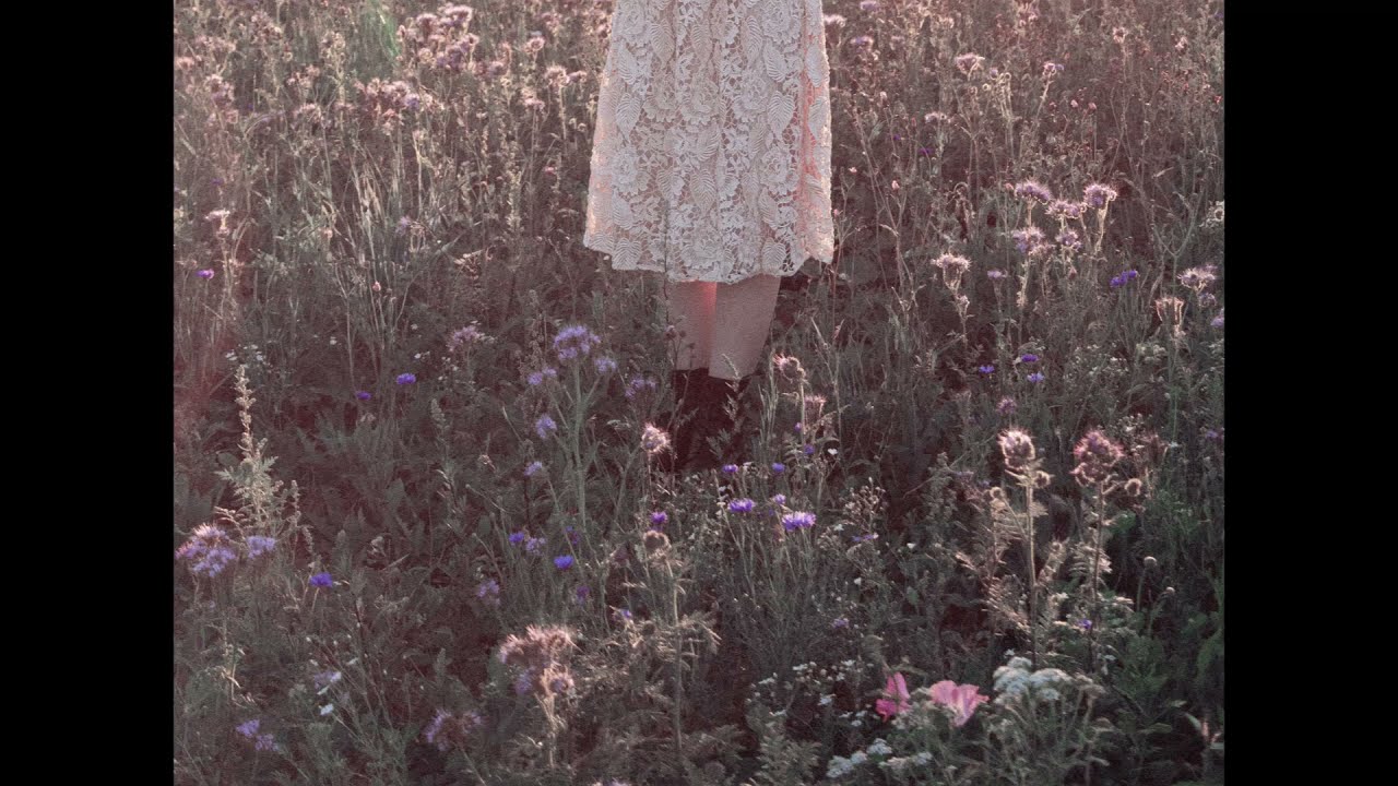 Nicole Dollanganger - In The Land [Cover]