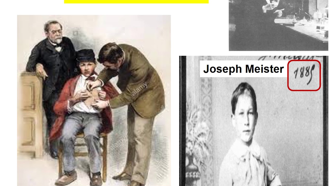 les déterminants de la politique vaccinale vidéo