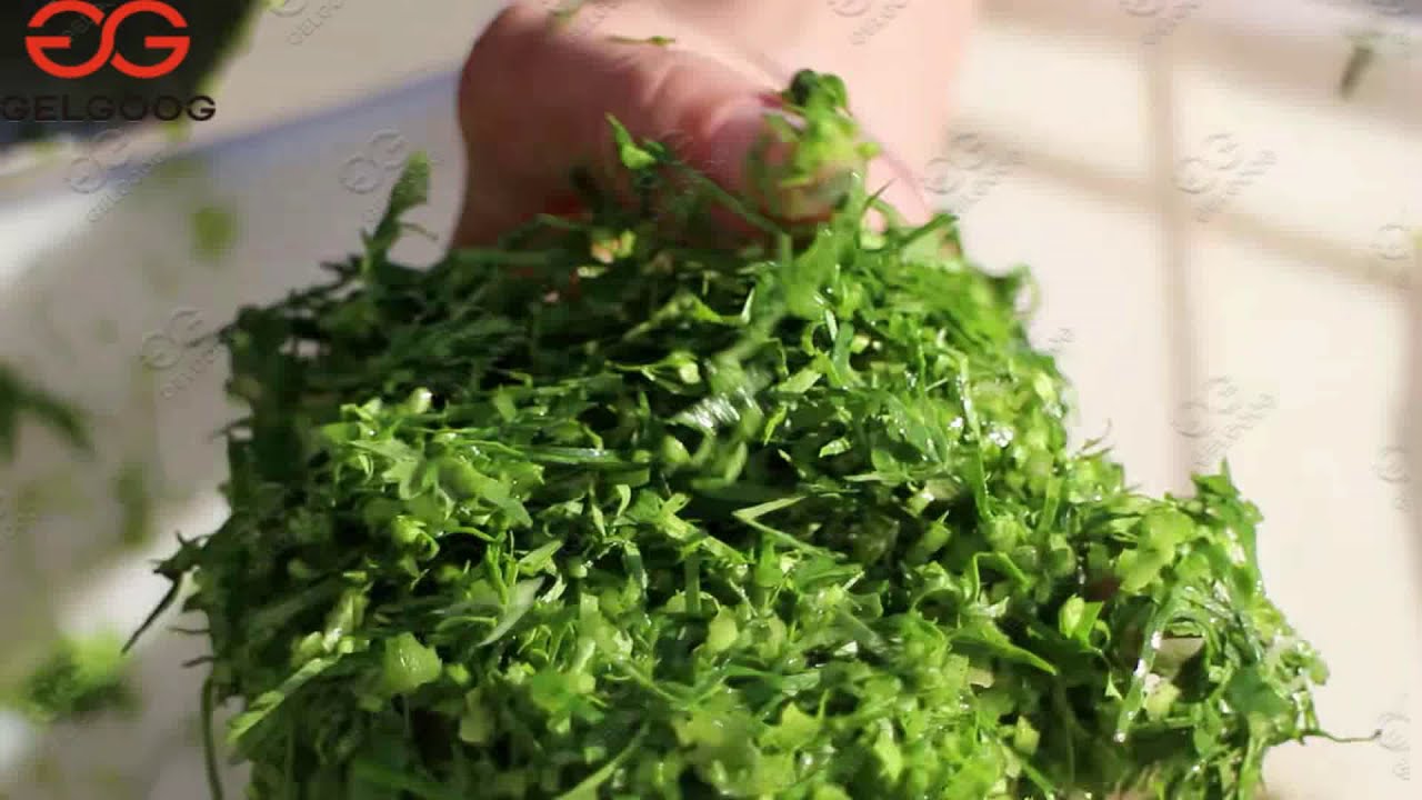 Coriander Vegetable Cutting Machine |Parsley Leaves Cutting Machine
