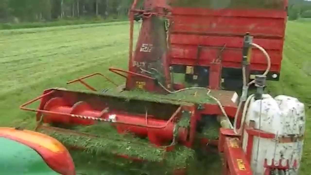 Märän rehun silppurointia