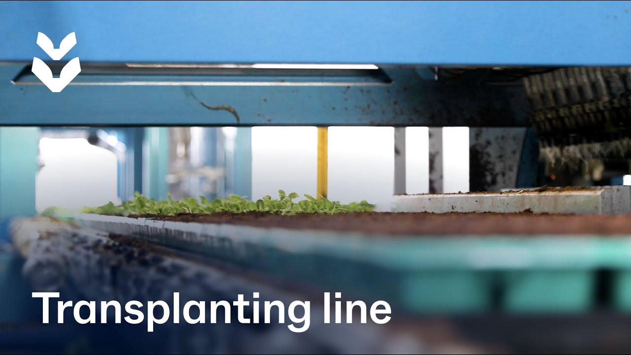 New high-capacity template line at Emsflower