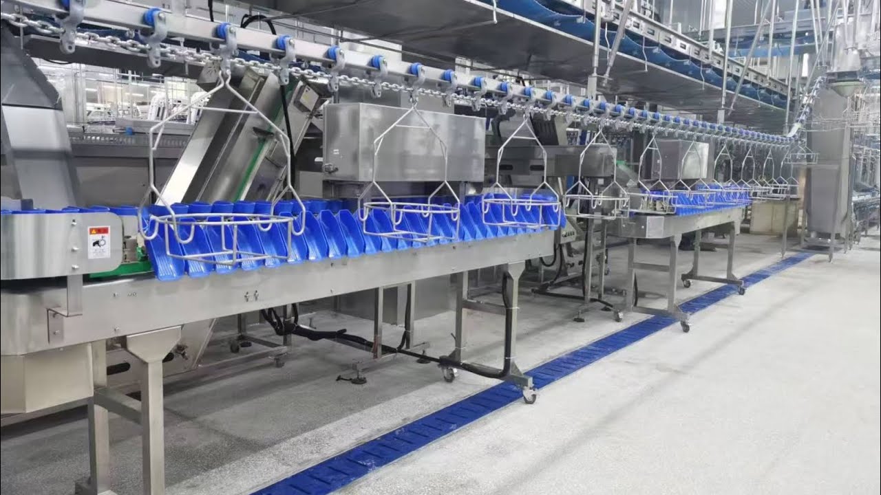 Chicken Paws Weight Sorting Machine