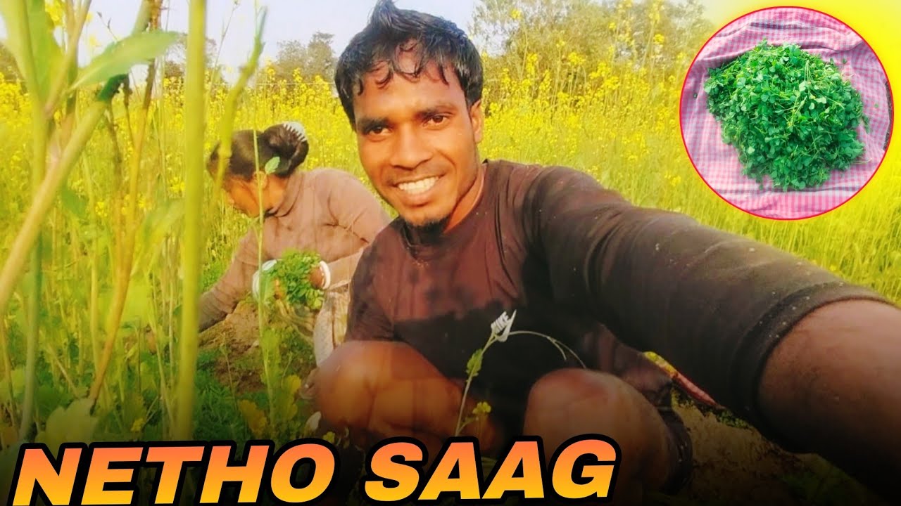 Sarso Ke Khet Me Netho Saag Todte Huye 🌿