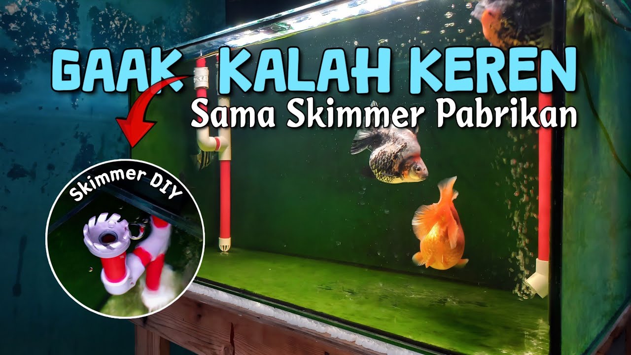 Aquarium Skimmer Setup on Top Pump - DIY Aquarium Surface Skimmer || GF0043