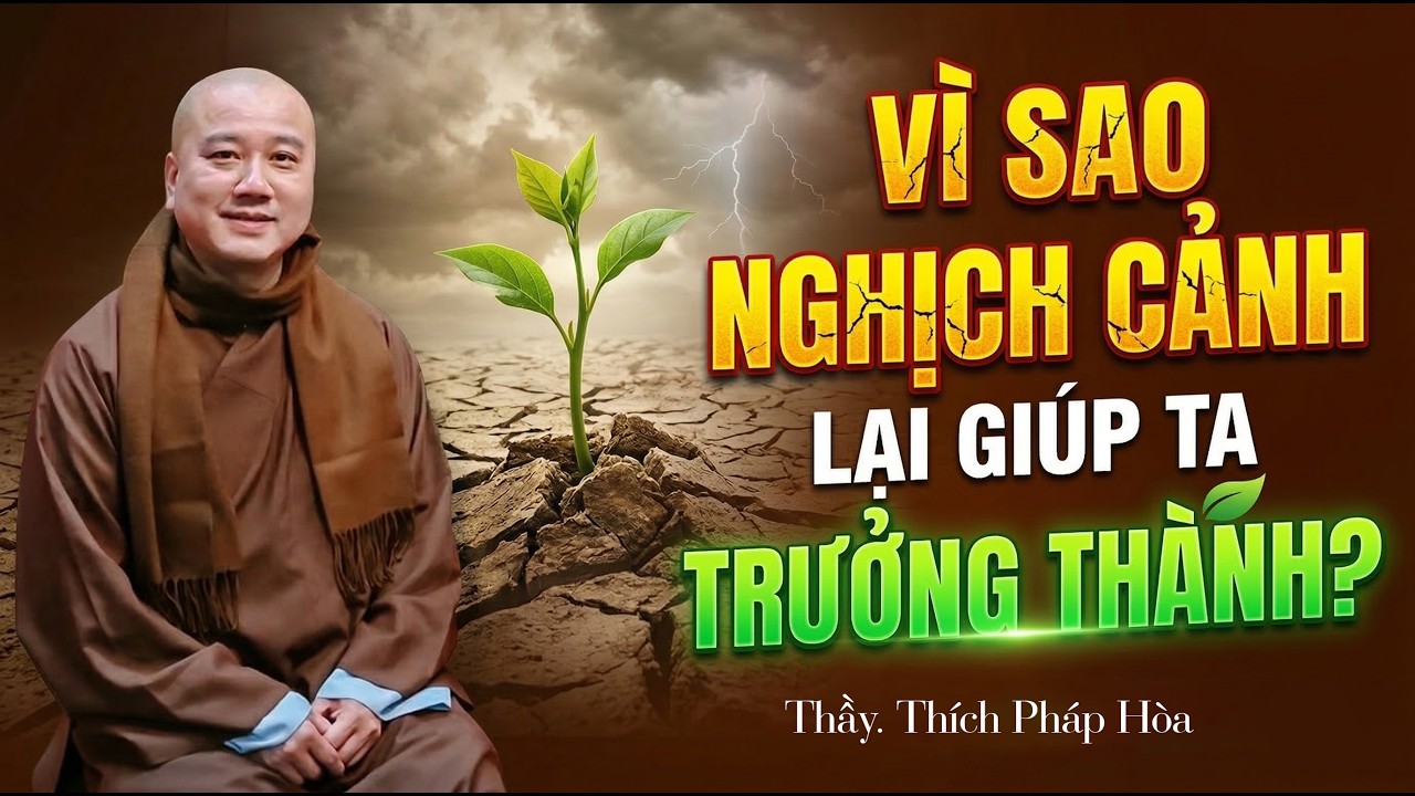 Vì sao nghịch cảnh lại giúp ta trưởng thành? Thầy Thích Pháp Hòa