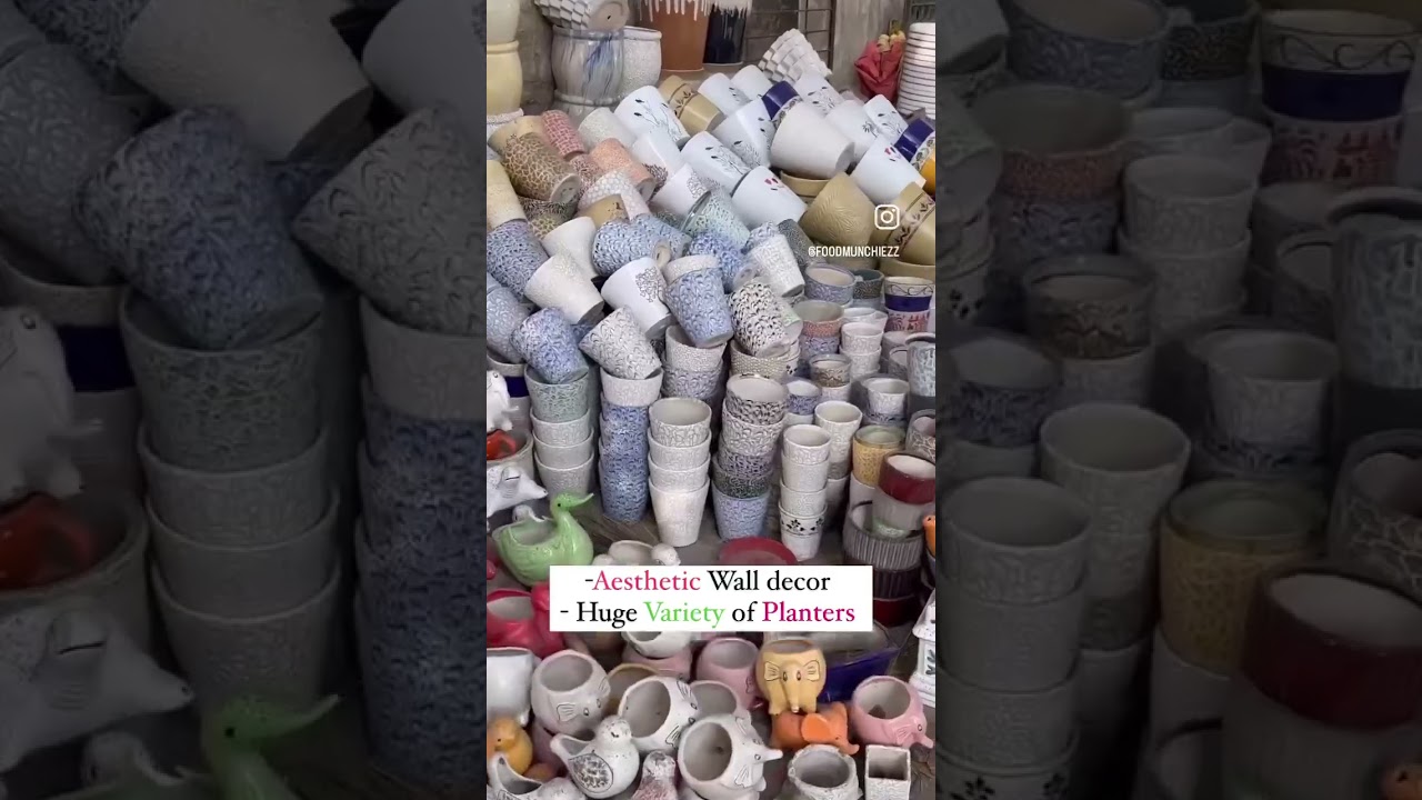 ₹49 me Plates, Mugs Crockery in Delhi 😱 ☕️ #viral #delhi