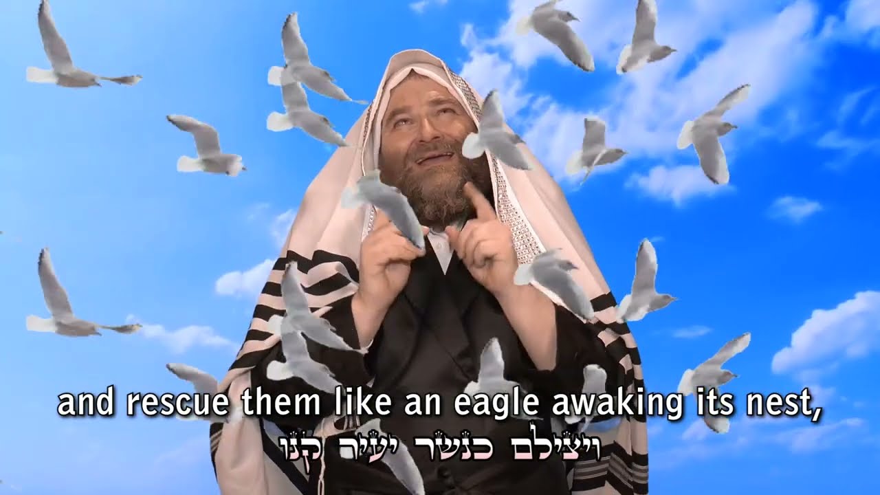 תנצל נפשי... והטלית יפרוש כנפיו... | מיכאל שטרייכר {קליפ} Ha'tallis | Michoel Streicher