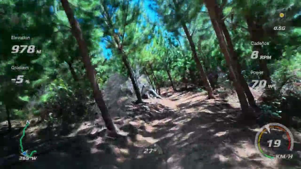 True Blue - Boree state forest.