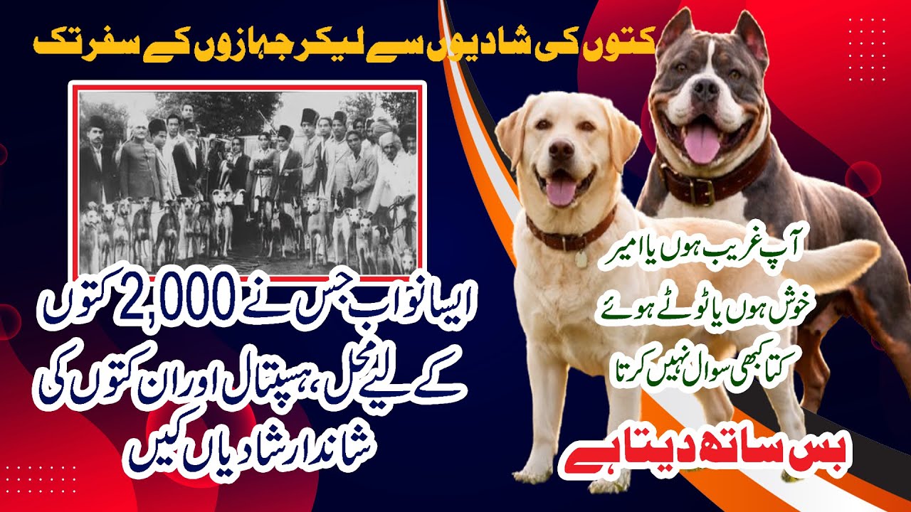 آپ جانتے ہیں ایک نواب نے بیوی بچوں سے پہلے کتوں کو جہاز میں کیوں بٹھایا ؟