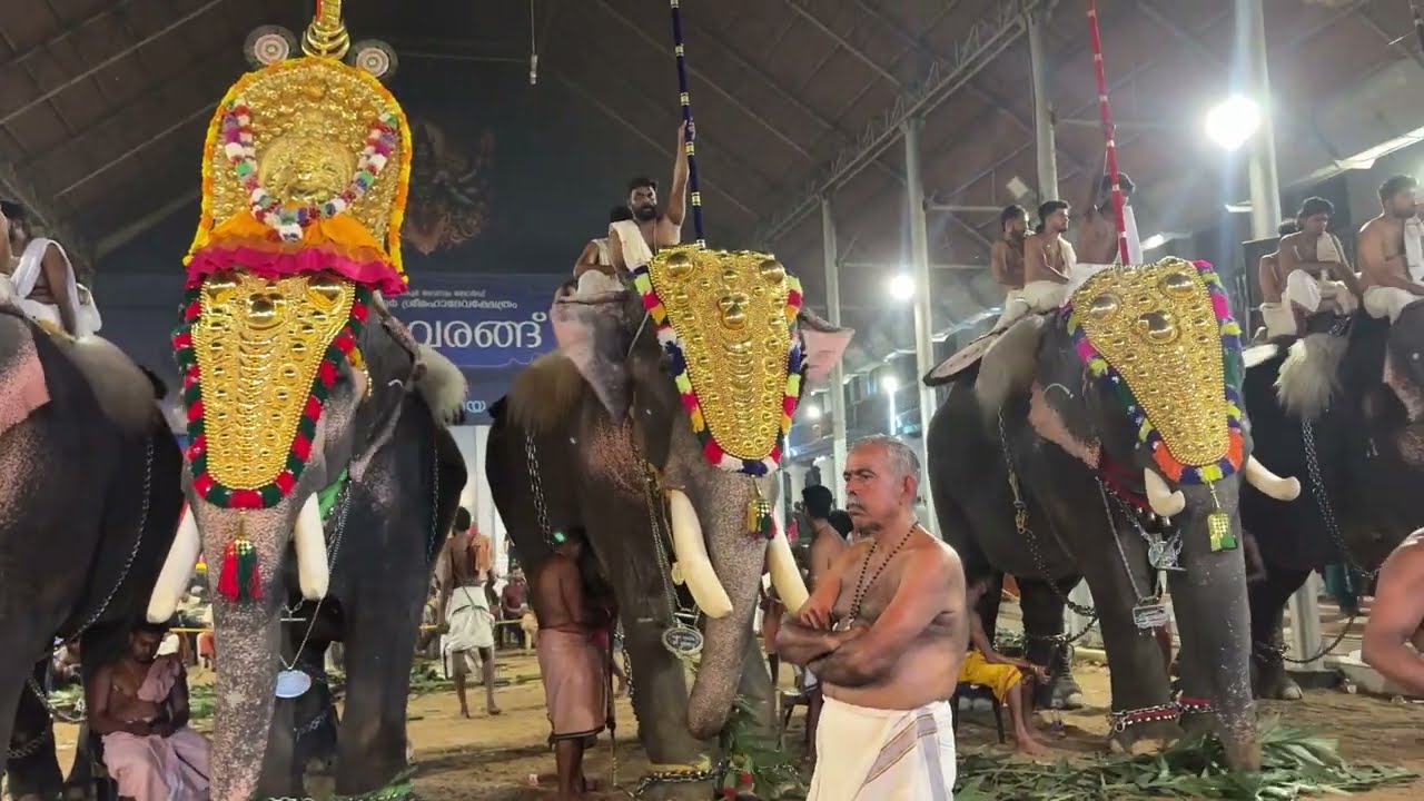 Ettumanoor Mahadeva Temple uthsavam ❤️‍🔥# live