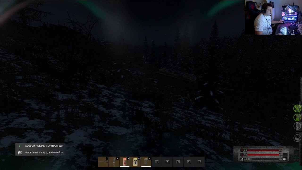 DayZ