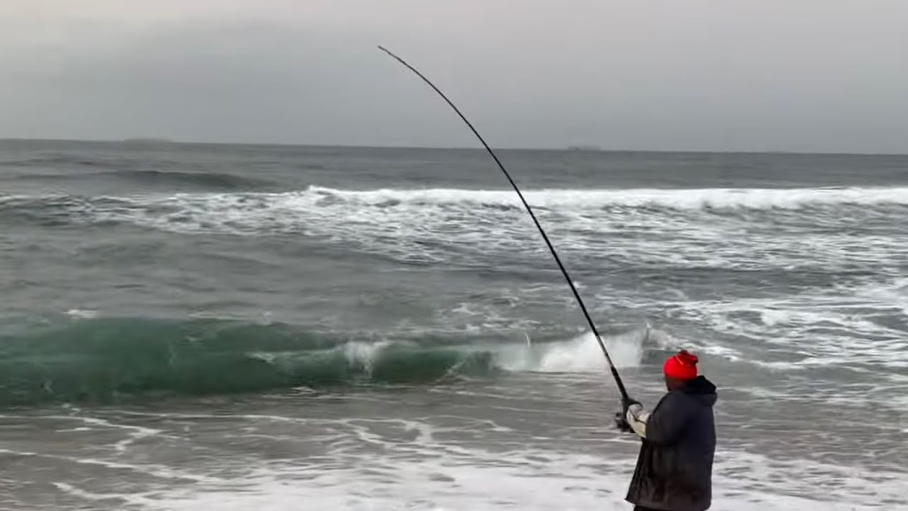 Big Blacktail Fishing Umdloti Beach Durban South Africa