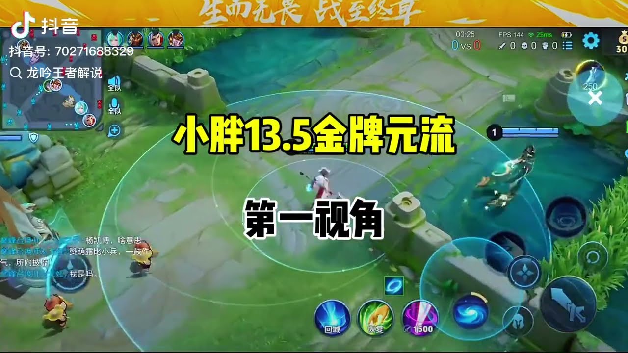 小胖元流之子巅峰2200斩获13 5金牌【凤煌解说王者荣耀】