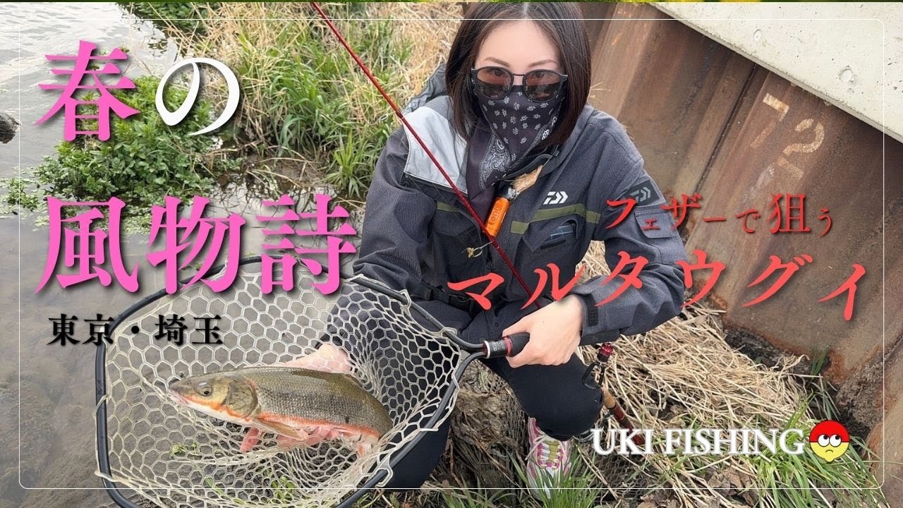 ［東京/埼玉河川］春の風物詩マルタウグイ