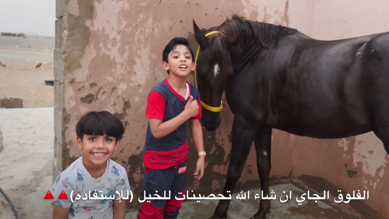 جوله سريعه تعريفيه لأسماء الخيول فالإسطبل|إتقان سعد للكنتر🐎👏🏻😍