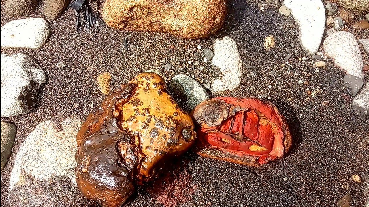Yellow rocks found by the river #yellowstone