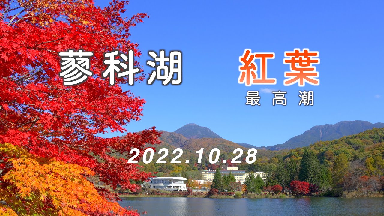 2022.10.28 紅葉が最高潮！ 信州『蓼科湖』 [4K] #AutumnLeaves #LakeTateshina