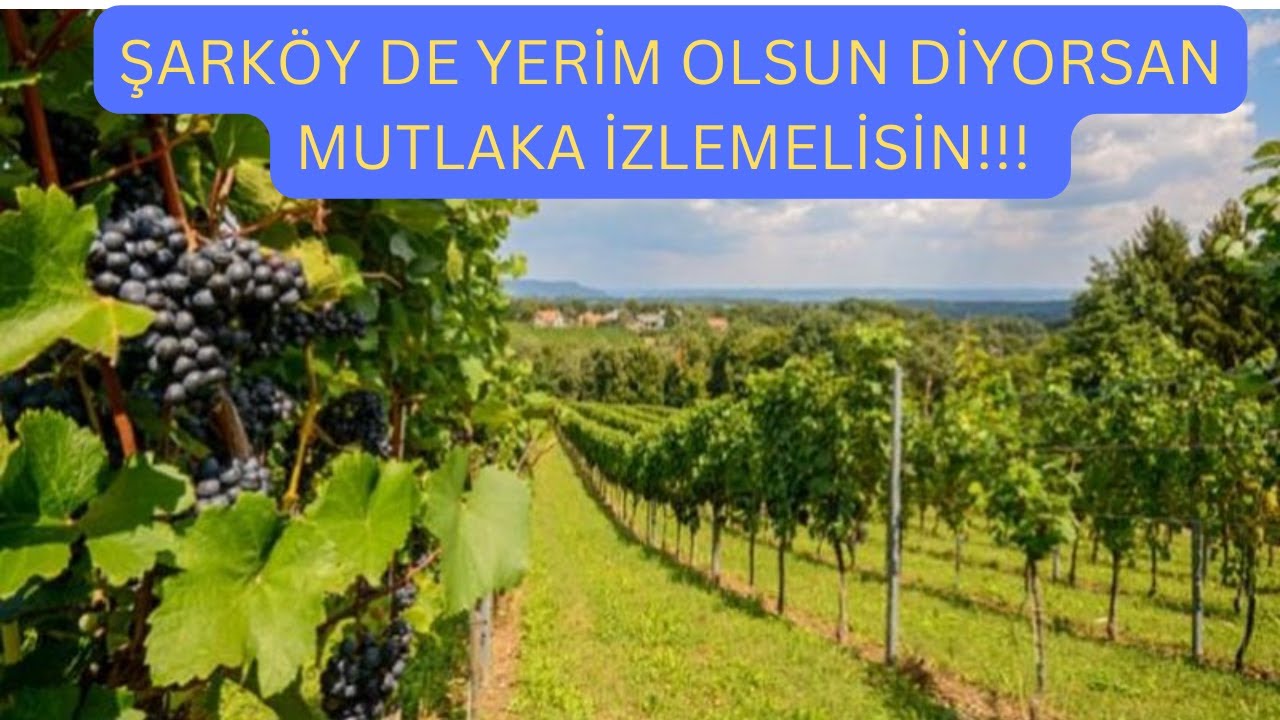ŞARKÖY DE YERİM OLSUN DİYORSAN MUTLAKA İZLEMELİSİN ! #sarköy  #arsa #emlak #konut #tekirdağ #biga
