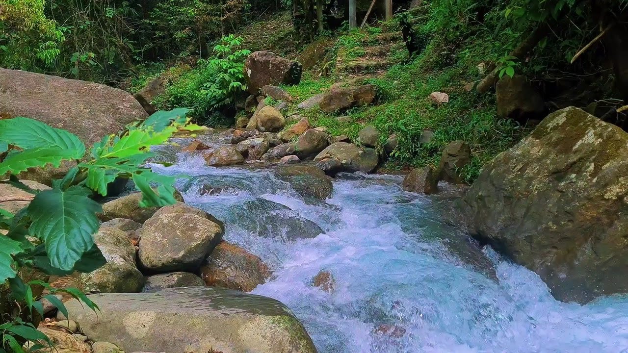 Moonlit River Sounds – Gentle Water Flow Ambience to Help You Fall Asleep Faster