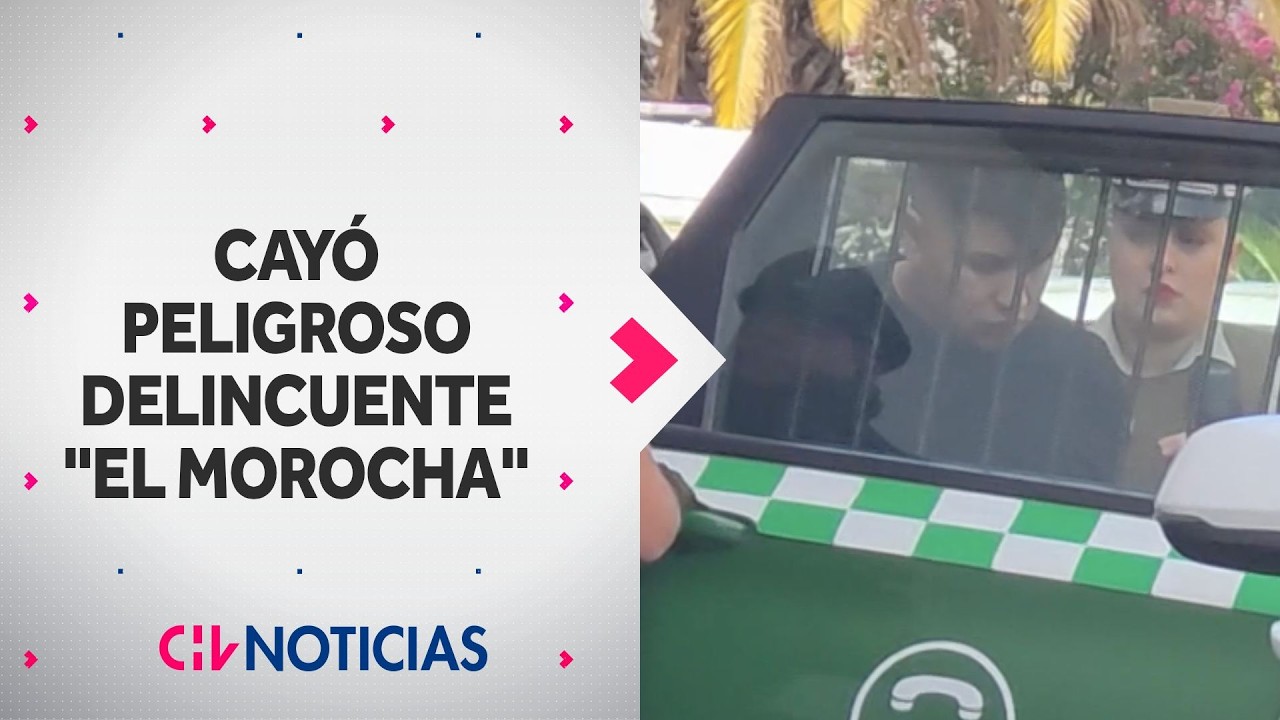 Cayó 