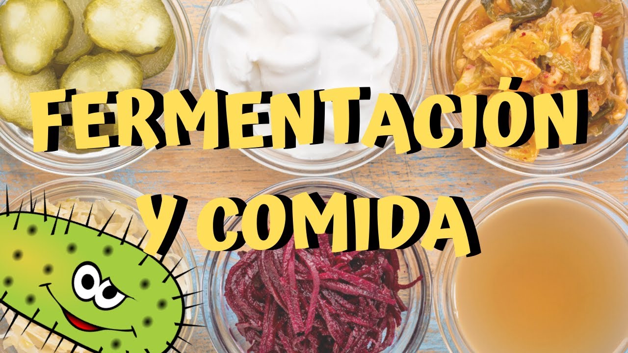😮😮¿QUÉ ES LA FERMENTACIÓN? 😮😮TIPOS DE FERMENTACIÓN Y EJEMPLOS - CHEF MODE MEDIA - GASTRONOMÍA