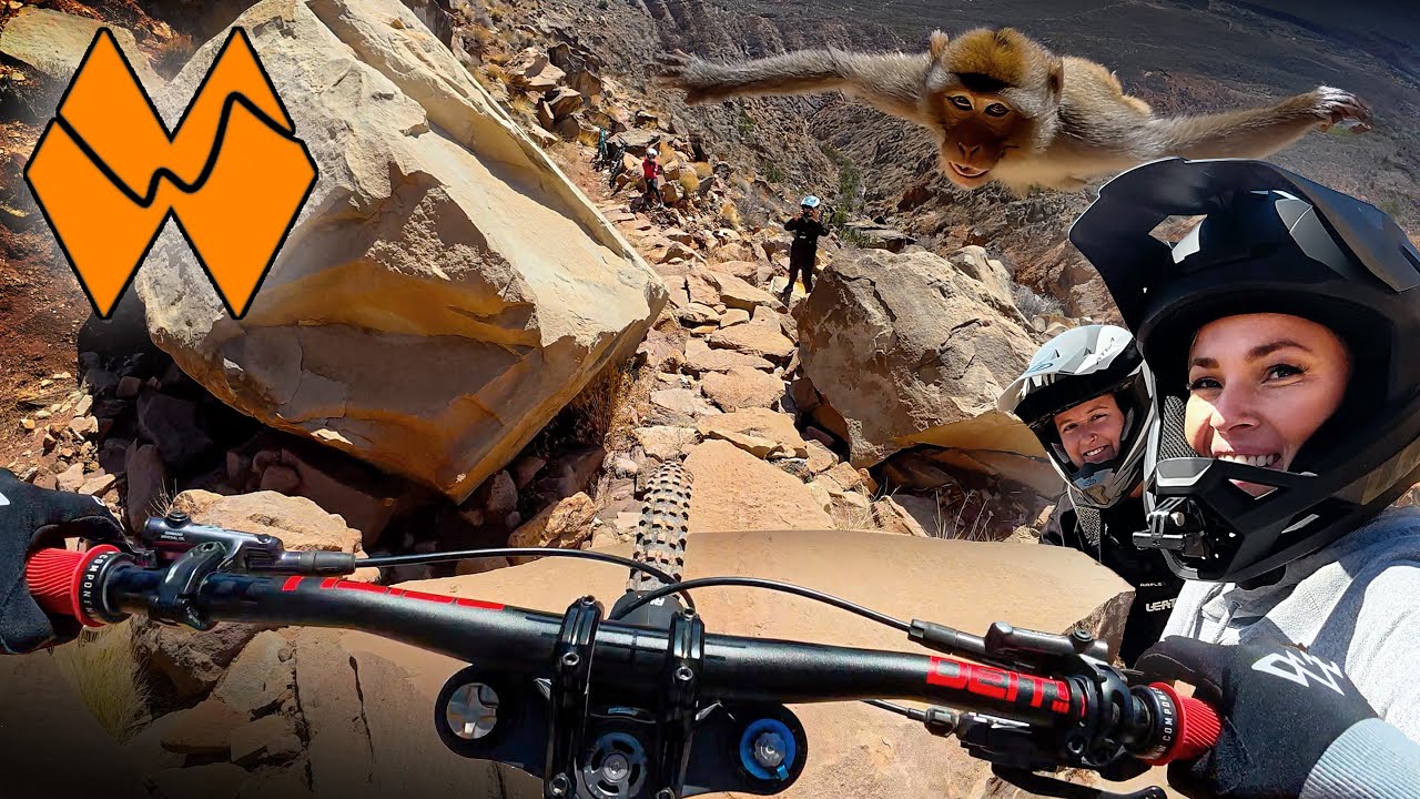 Pro Tech Trail Flying Monkey - How Many Features Can I Conquer?