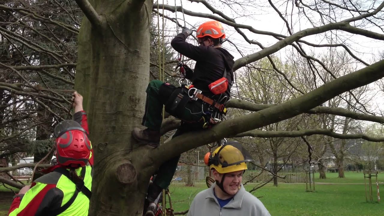 Cursus Boom klimmen/Baum Kletter Kurs, Eupen 2014 | European Tree Worker