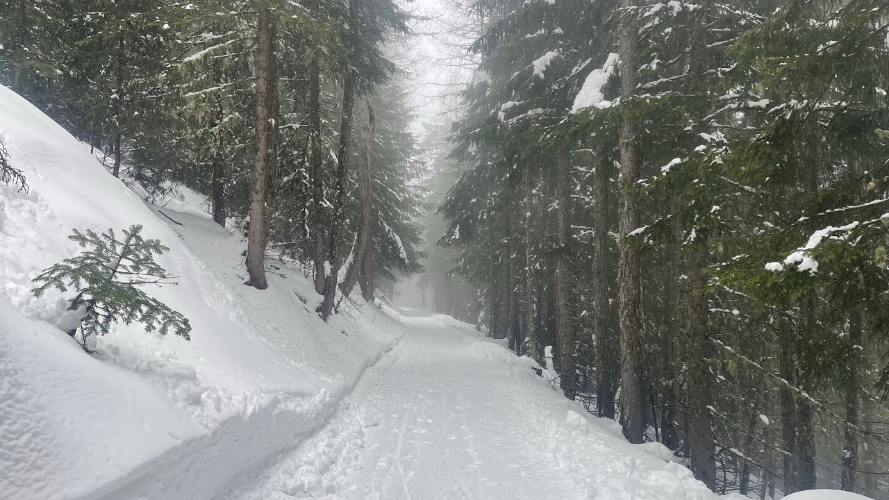 (TO) La Decauville di Rochemolles - Percorso ciaspole - 2024-02 - 🥾1🐕❄️