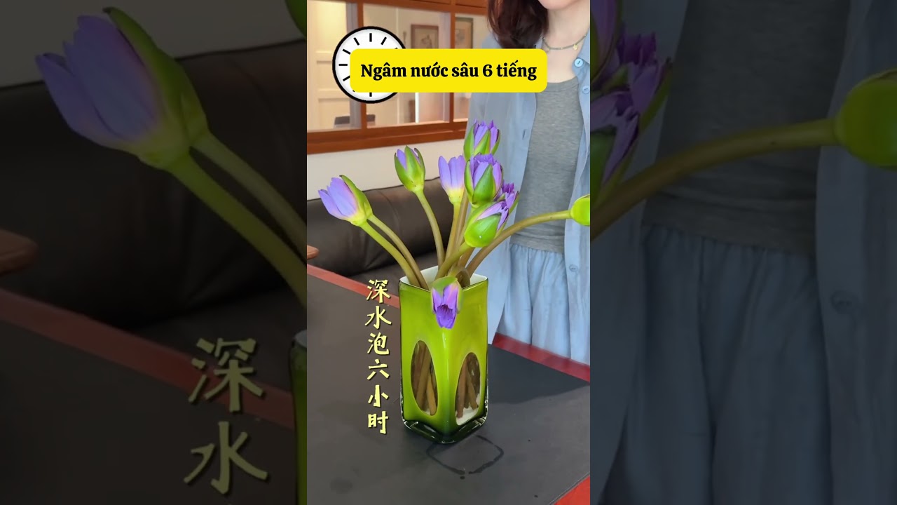 Muốn hoa tươi l&acirc;u hơn th&igrave; h&atilde;y thử những c&aacute;ch n&agrave;y nh&eacute; #shortvideo #foryou