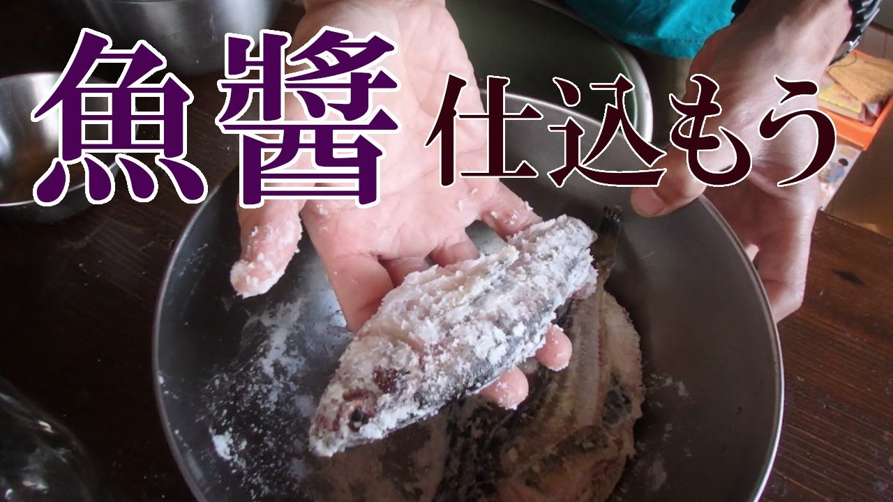 魚醬を仕込む【ぐるりの暮らし#163】魚醬は魚の塩漬けです。