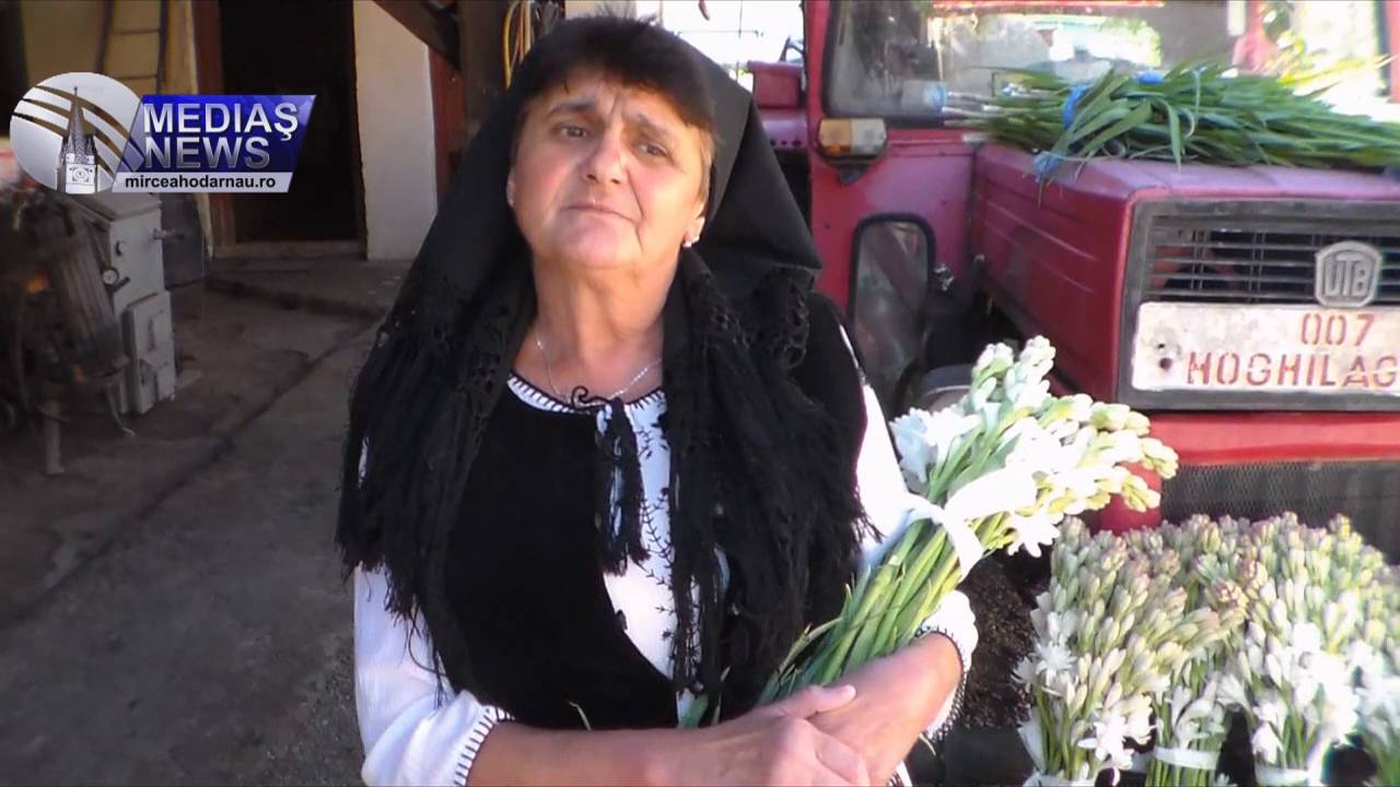 Costel Eleonora - cultivator de tuberoze
