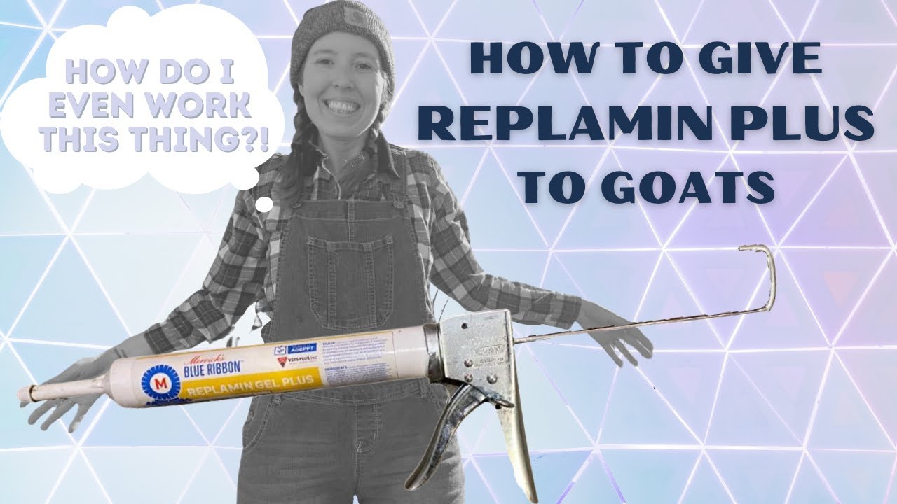 How to Give Replamin to Goats