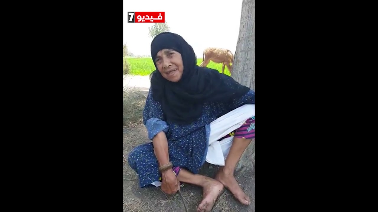 كفاح فى سن الـ 71.. مكاسب توفى أبنائها الثلاثة بحوادث طرق وتربى أحفادها الـ 6
