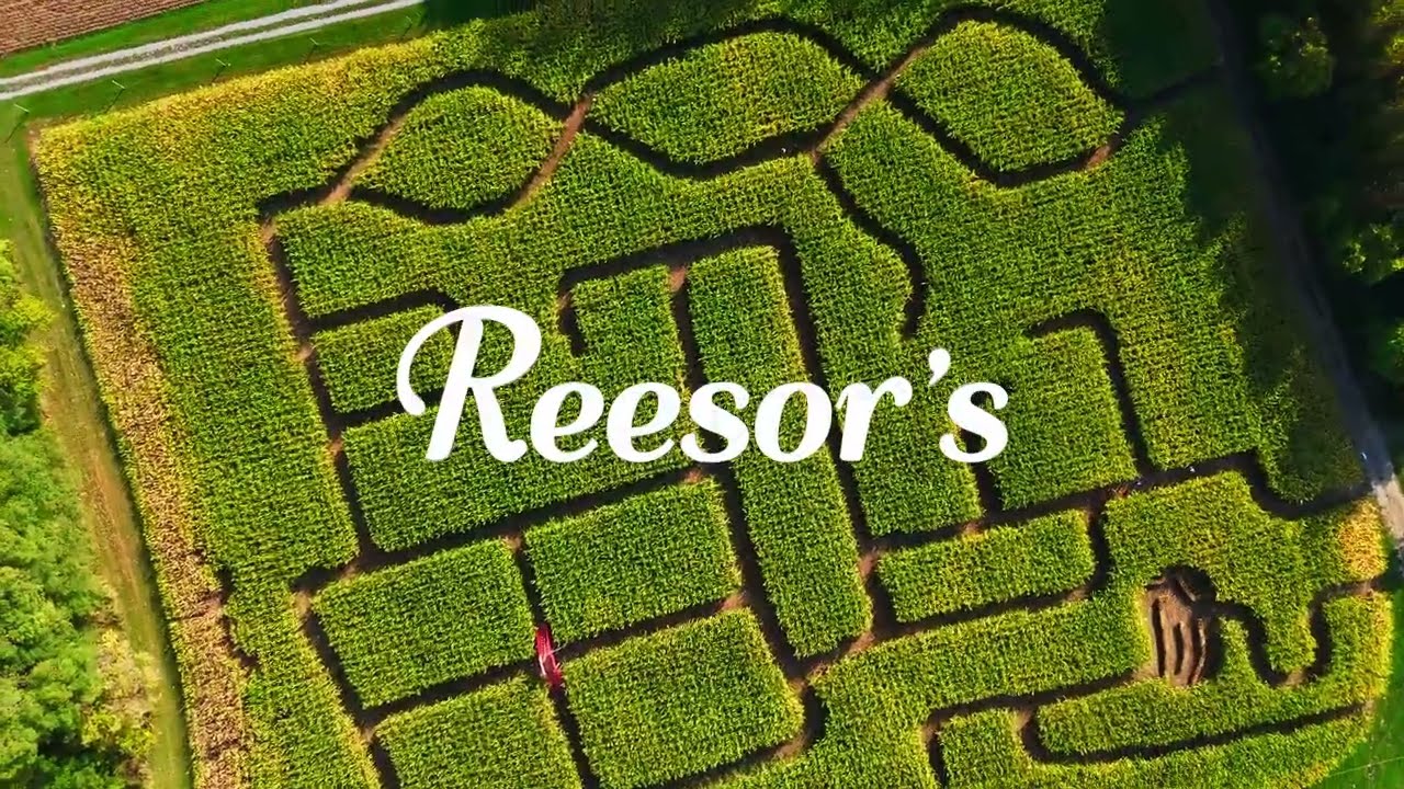 Fall Family Fun | Inside the Reesor’s Farm Market Corn Maze