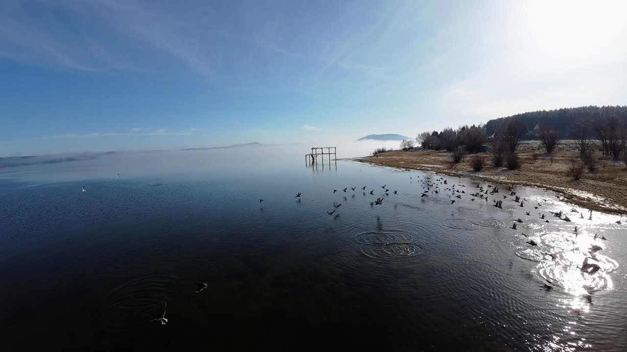 Водохранилище Искара - туман, лед и птицы - Водохранилище Искара - туман, лед и птицы