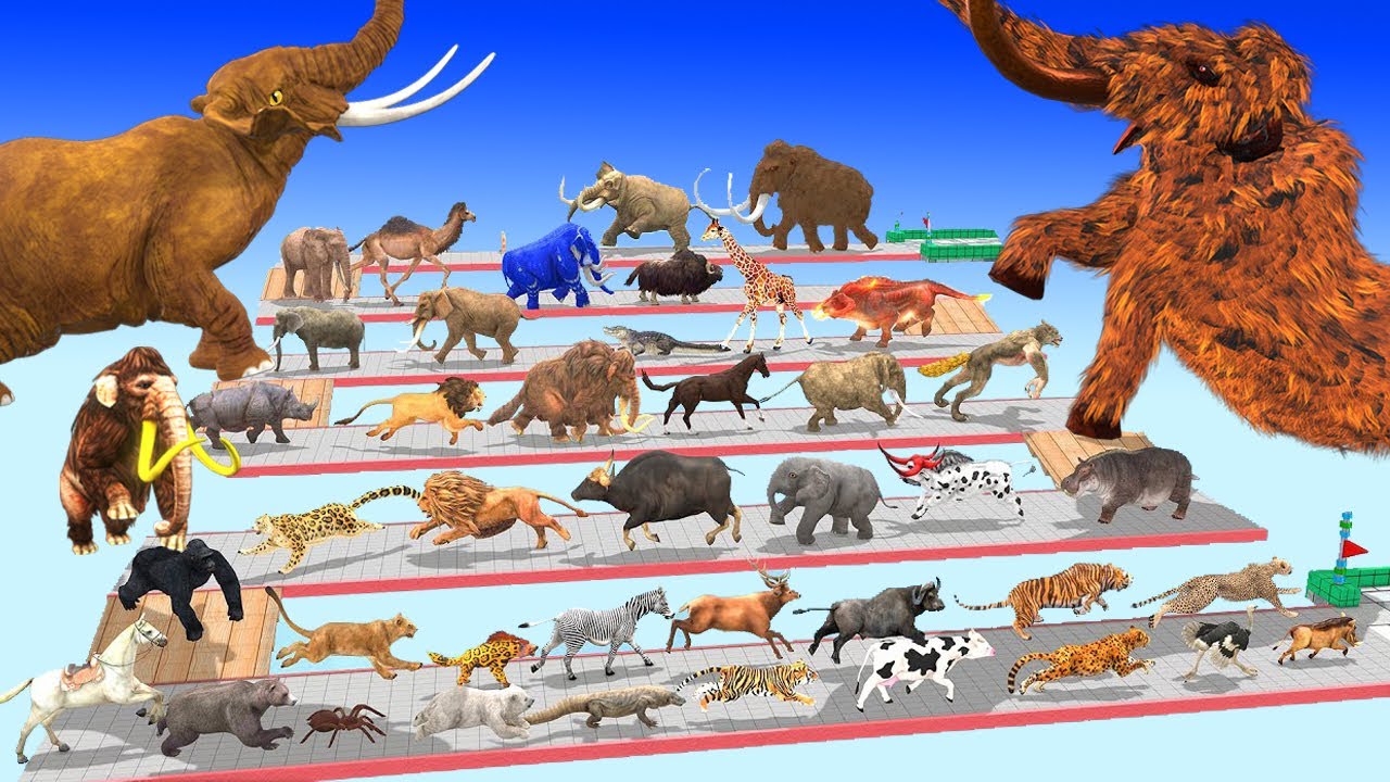 The Ultimate Battle 44 Wild Animals vs Prehistoric Mammals Speed Race Run Zigzag Down Course!